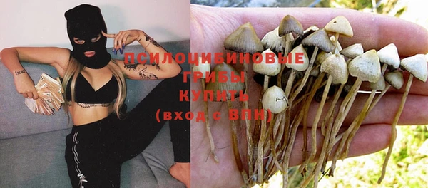 твердый Краснотурьинск