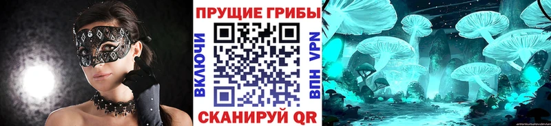 Галлюциногенные грибы ЛСД  сколько стоит  Устюжна 